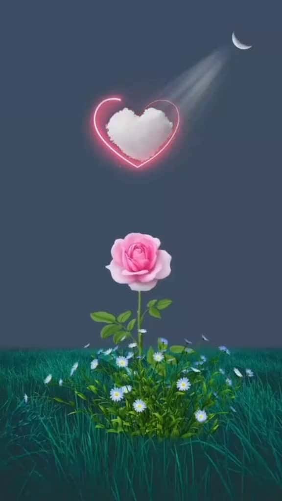 Cover for foryou foryoupage Love viral fyp viral like flowe 1k trending explore 100k friends family 57546 #us