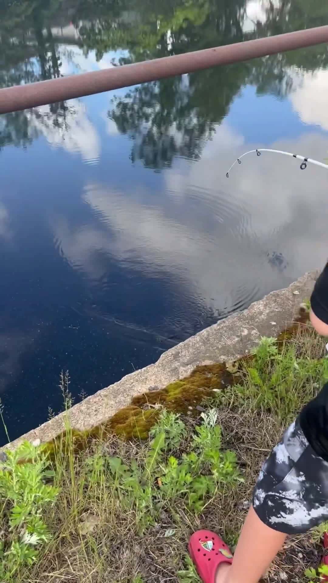 Cover for Almost got it fishing fishingvideo fish bass perch hunting water ocean saltlife