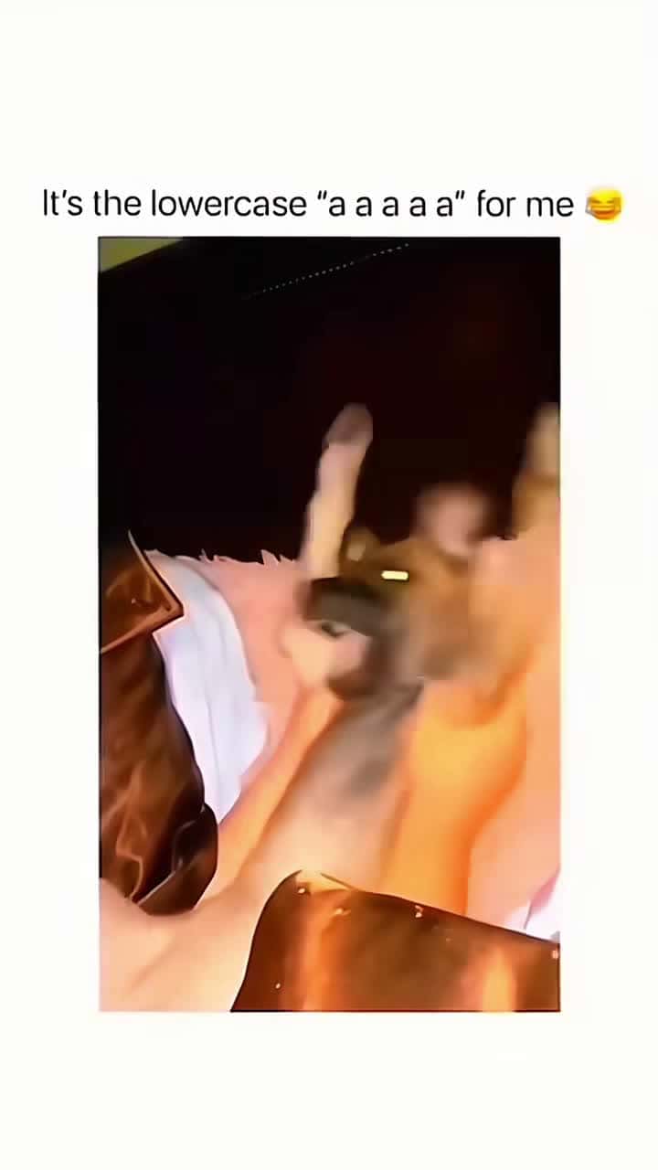 Cover for Funny animals 😂 #Pet #cat #dog #cute #animals #foryou #typ