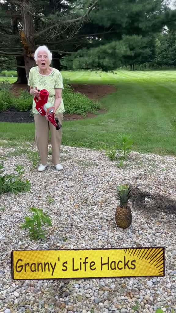 Cover for Granny s Life Hacks Are The Best LifeHack fishing 27462 #trend