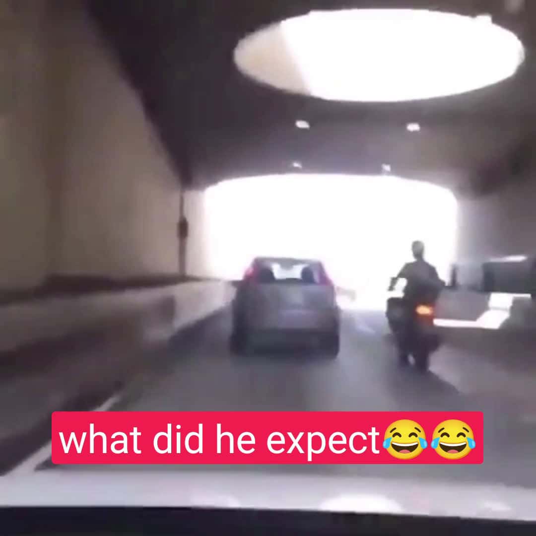 Cover for What was he thinking🤦‍♂️🤦‍♂️ #funny #viral 