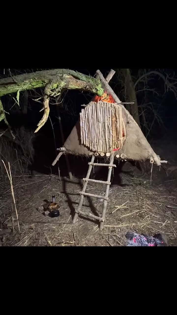 Cover for Building a hanging tree shelter is a reliable way to hide from a wild boar#survivalskills #forest #camping #survival #satisfying #solotravel