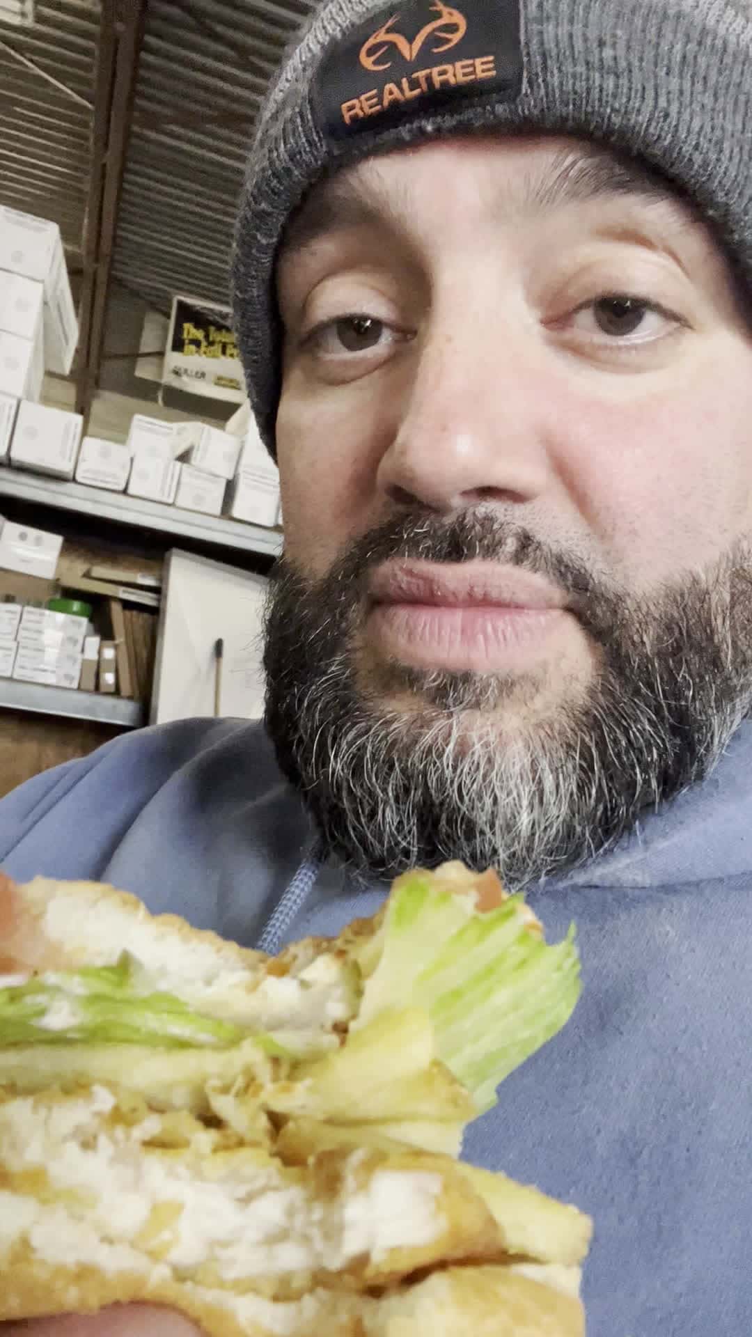 Cover for Chicken sandwich with fries….