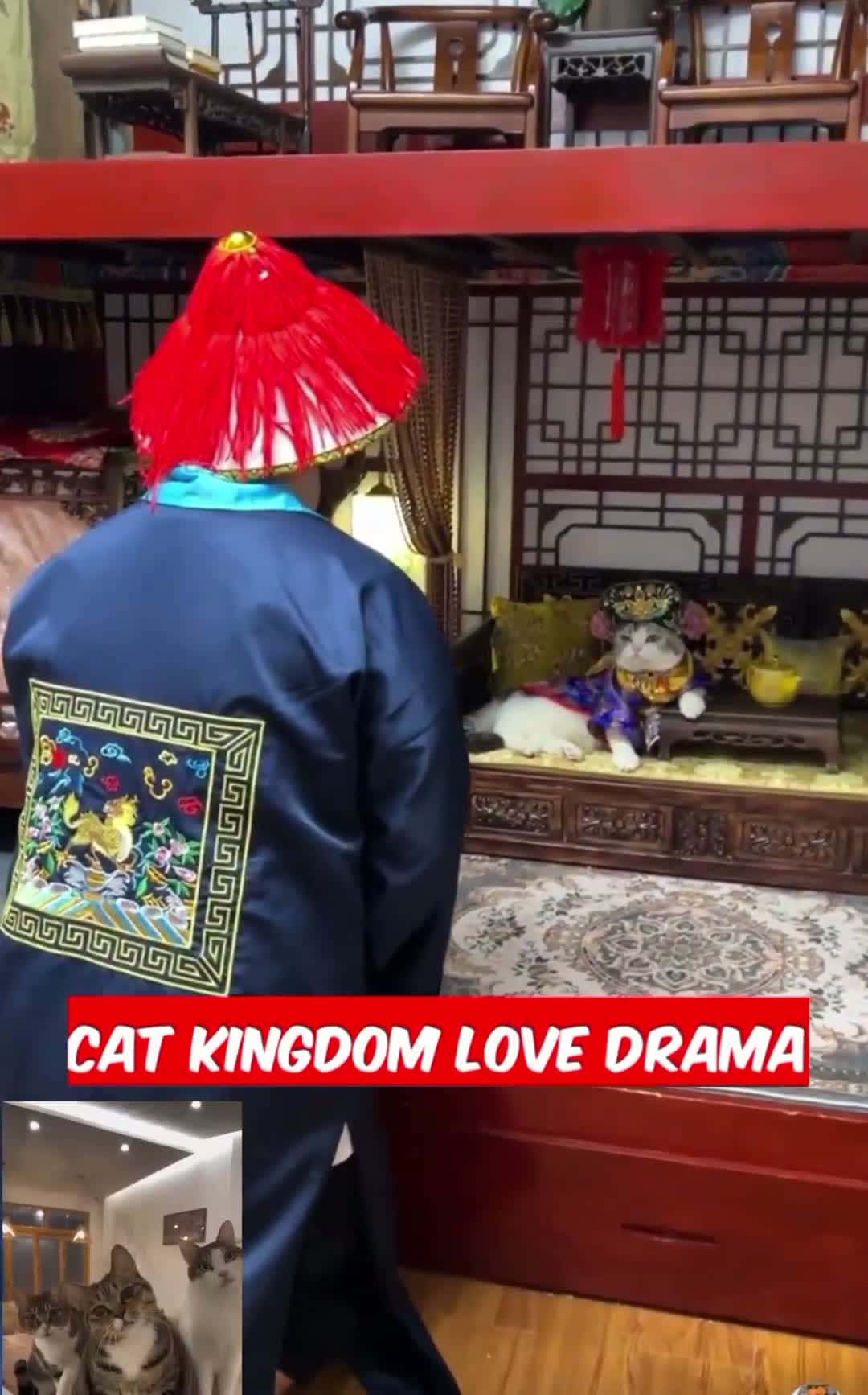 Cover for #FavMovieClipa story of adultery in the cat kingdom
