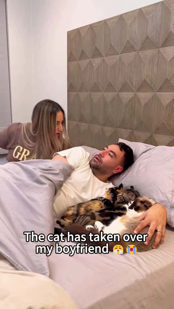 Cover for My boyfriend was stolen by the cat. cat cats catsoftiktok catslovers 97311 #america