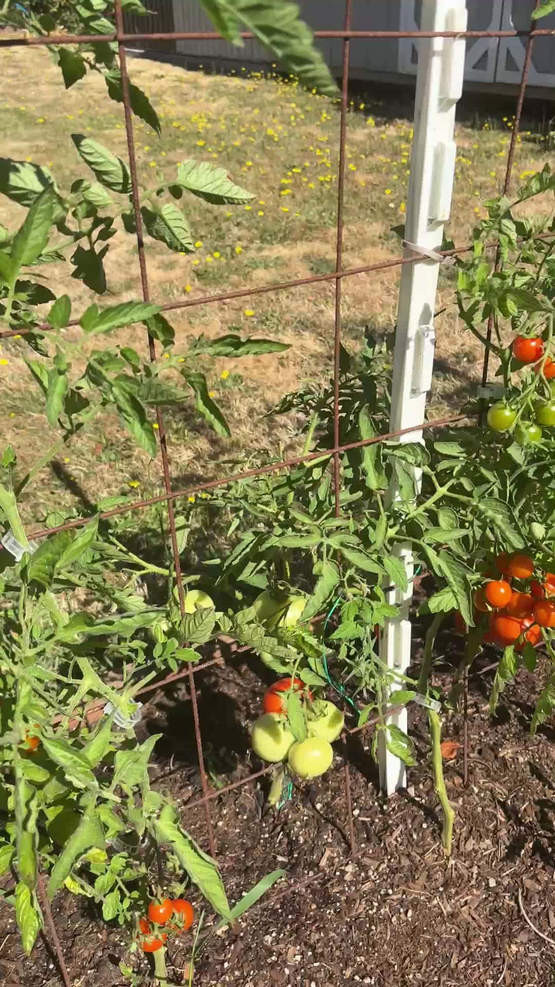 Cover for Gardening