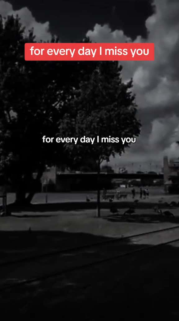 Cover for forever Love Relationship 01869 #nicevideo