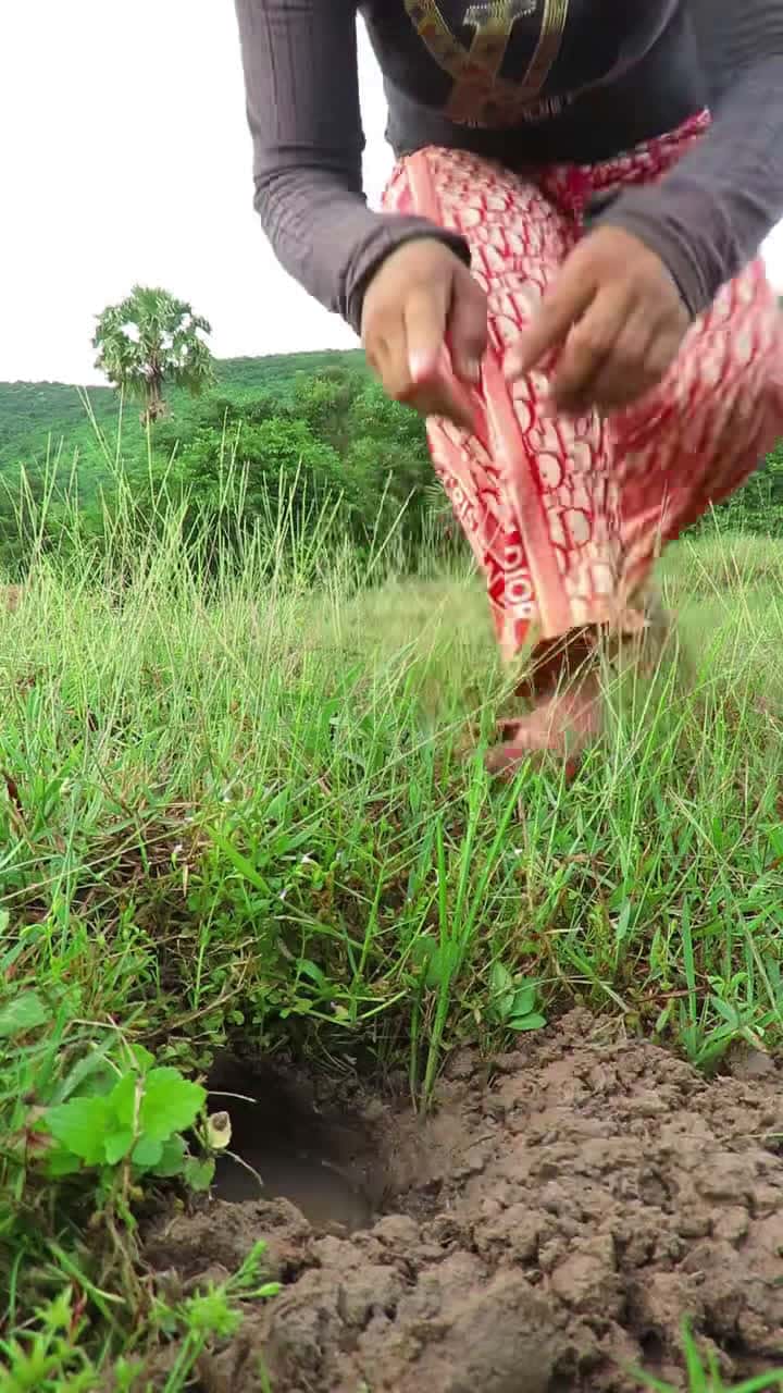 Cover for Survival Skills: Simple but very Useful #survival #bushcraft  #camping #outdoors #shorts #useful #survivalskills #forest