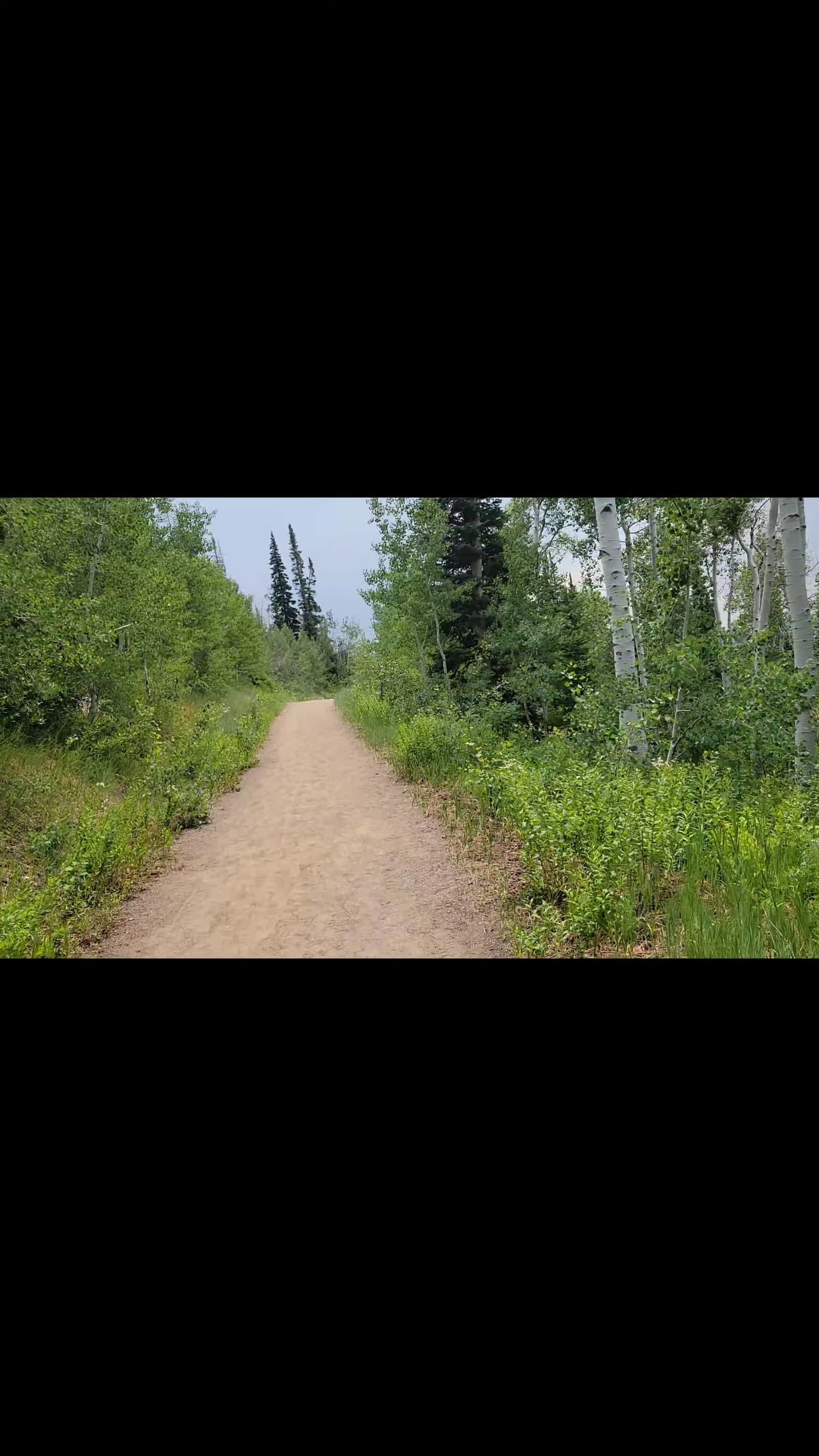 Cover for One more Hike  in Colorado, would you like these trails 👣 😍? 