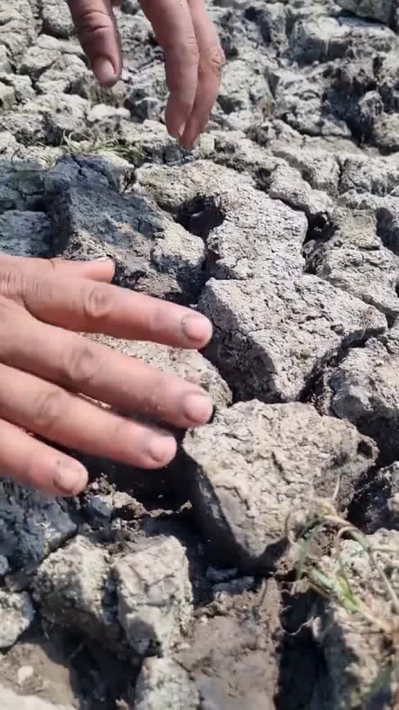 Cover for Amazing dry place catching big stuck underground fish fish fishing video trap foryou bigfi 12494 #followMe