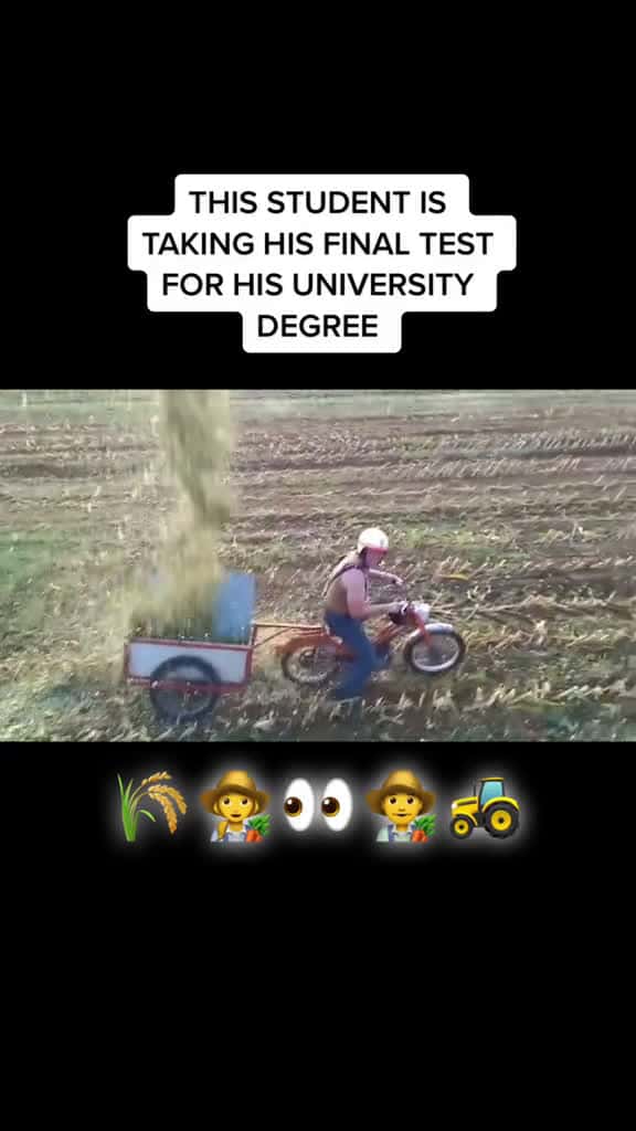 Cover for Farmers are very naughty  farmlife farmer tractor agri agriculture fyp viral Cred 18181 #nicevideo