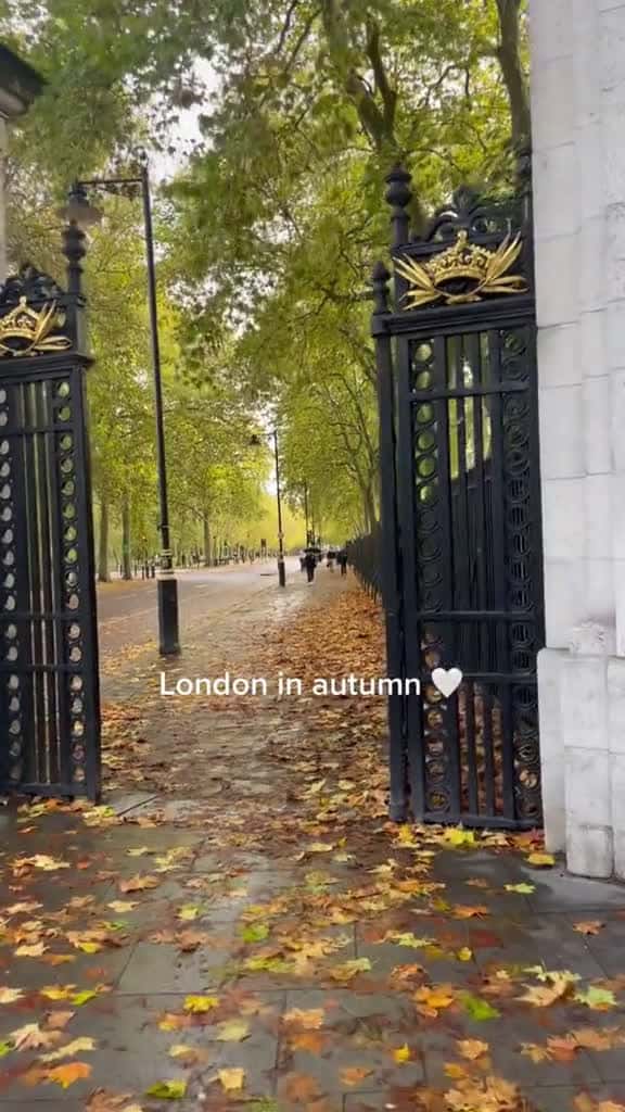 Cover for Love quiet pockets of London in fall london uk travel traveltok 46734 #us