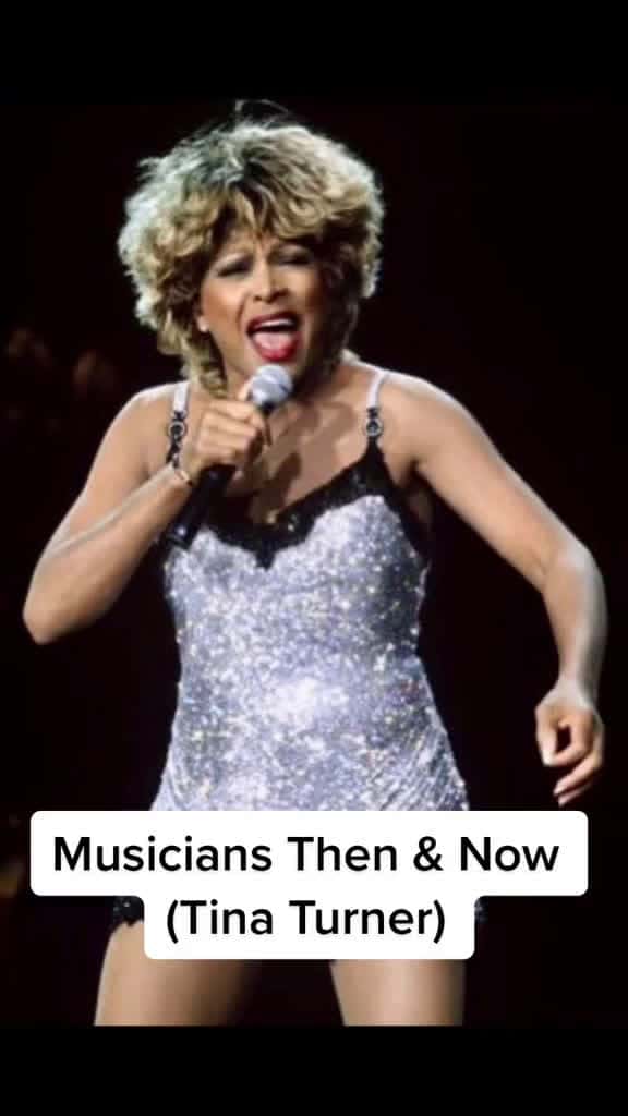 Cover for Icon living Tinaturner icon legend musician singer whatslovegottodowithit simplyt 70757 #trend