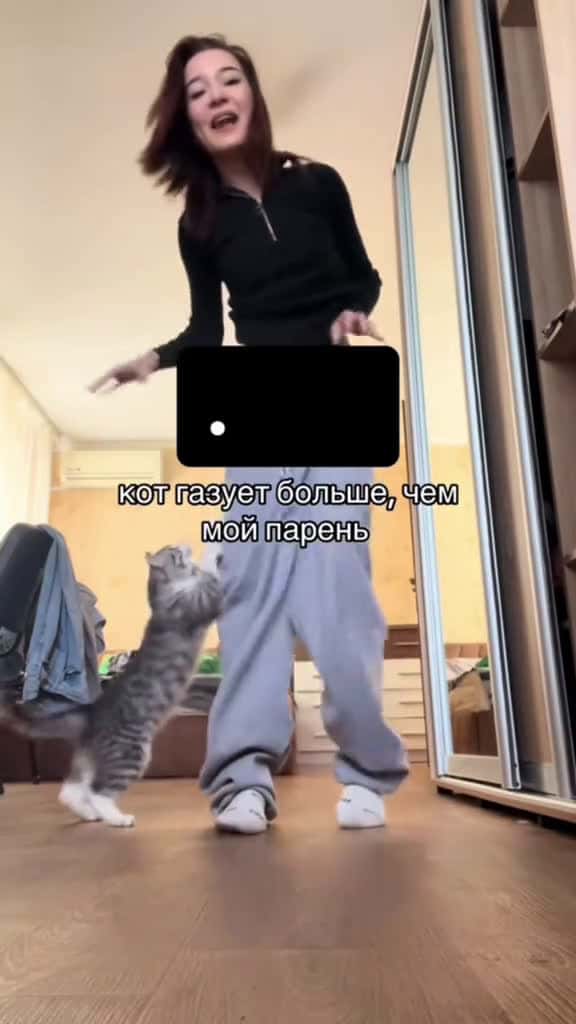 Cover for This cat retains its memory catsoftiktok funnycat fyp cat 97774 #nicevideo