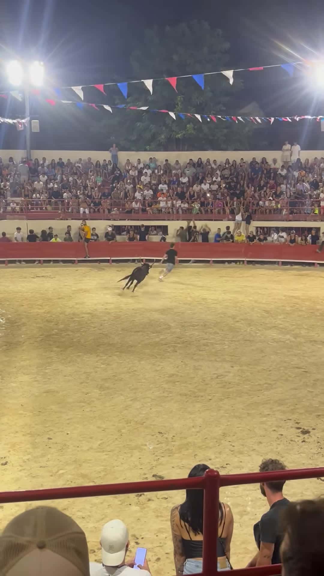 Cover for #OddlySatisfying Cow Follows Man and Jumps Over Barrier.