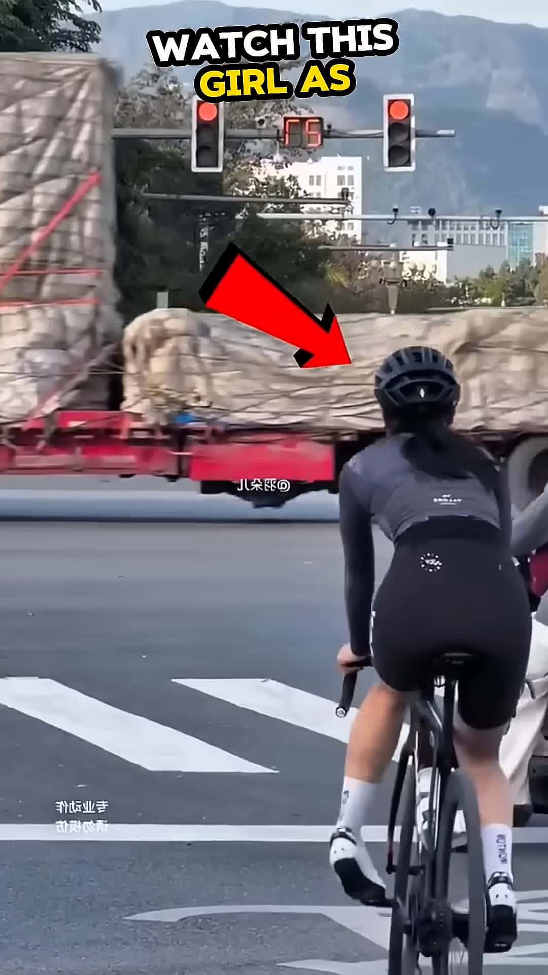 Cover for She Balanced Her Bicycle Without Touching the Ground