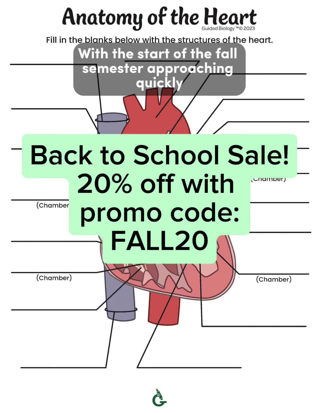 Cover for Our back to school sale starts today! 20% off with promo code FALL20 #fyp #antomy #physiology #anatomyandphysiology #science #education #STEM #studying #anatomystudent #anatomylesson #futurenurses #biologymajor #biologystudent #premed #futurepa #student #studying #goodnotes