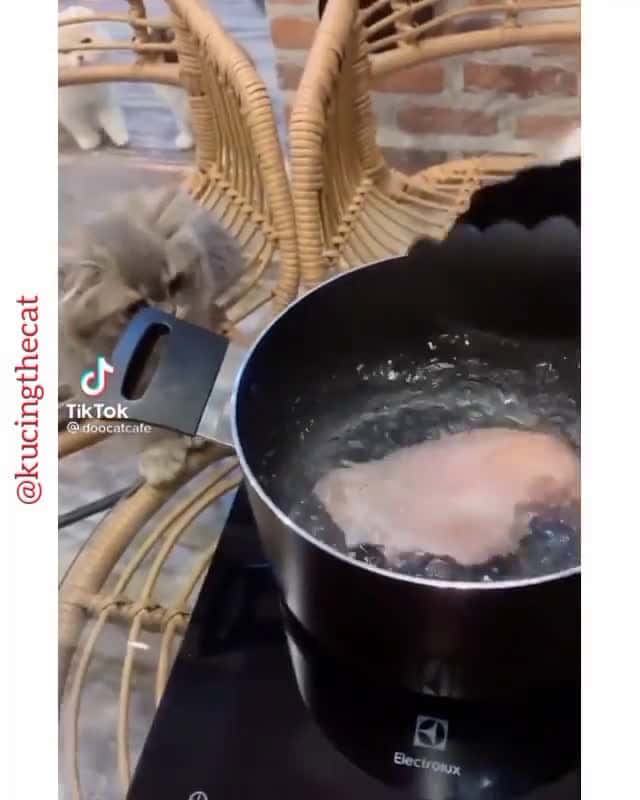 Cover for Diajarin gimana ya sampe pada mau sabar begitu Tiktok doocatcafe Follow akun mimin yang satunya yaa @masihkucing @masihkucing Yang belum follow akun ini, ayuk langsung ajaa @k