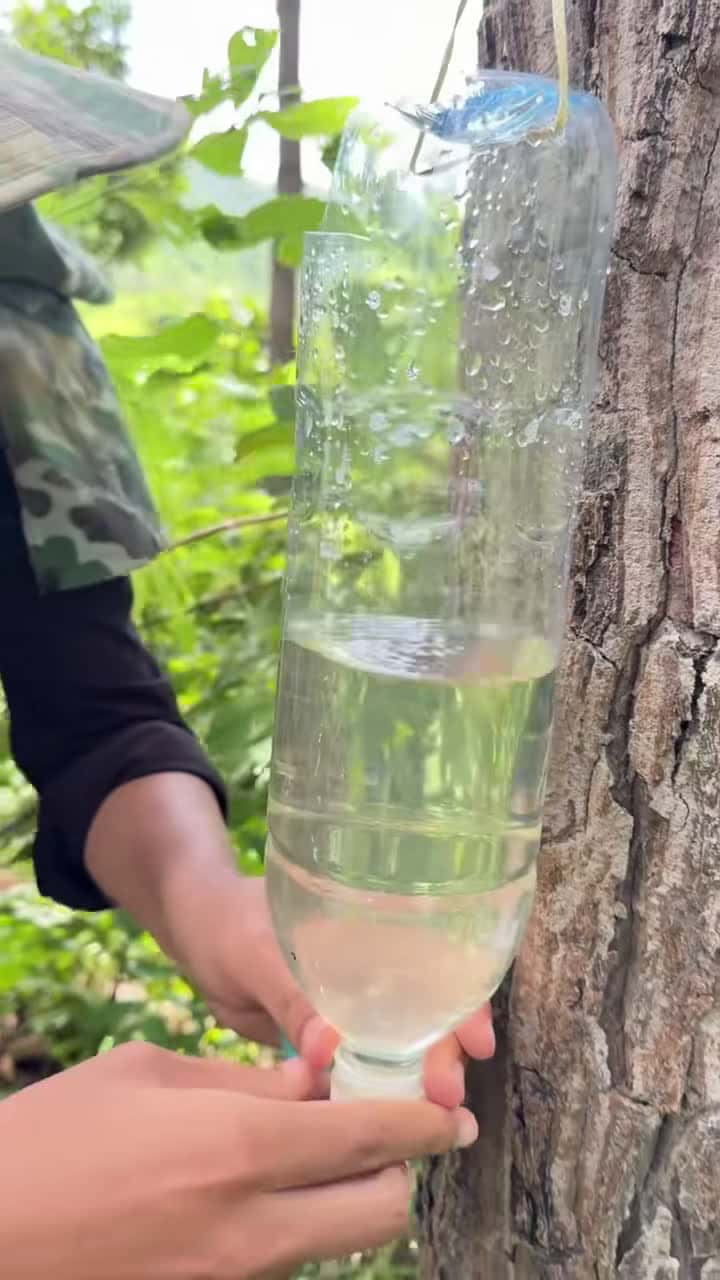 Cover for WATERPROOF Your Soap with This Amazing Hack! #bushcraft #camping #outdoors #useful #ideas