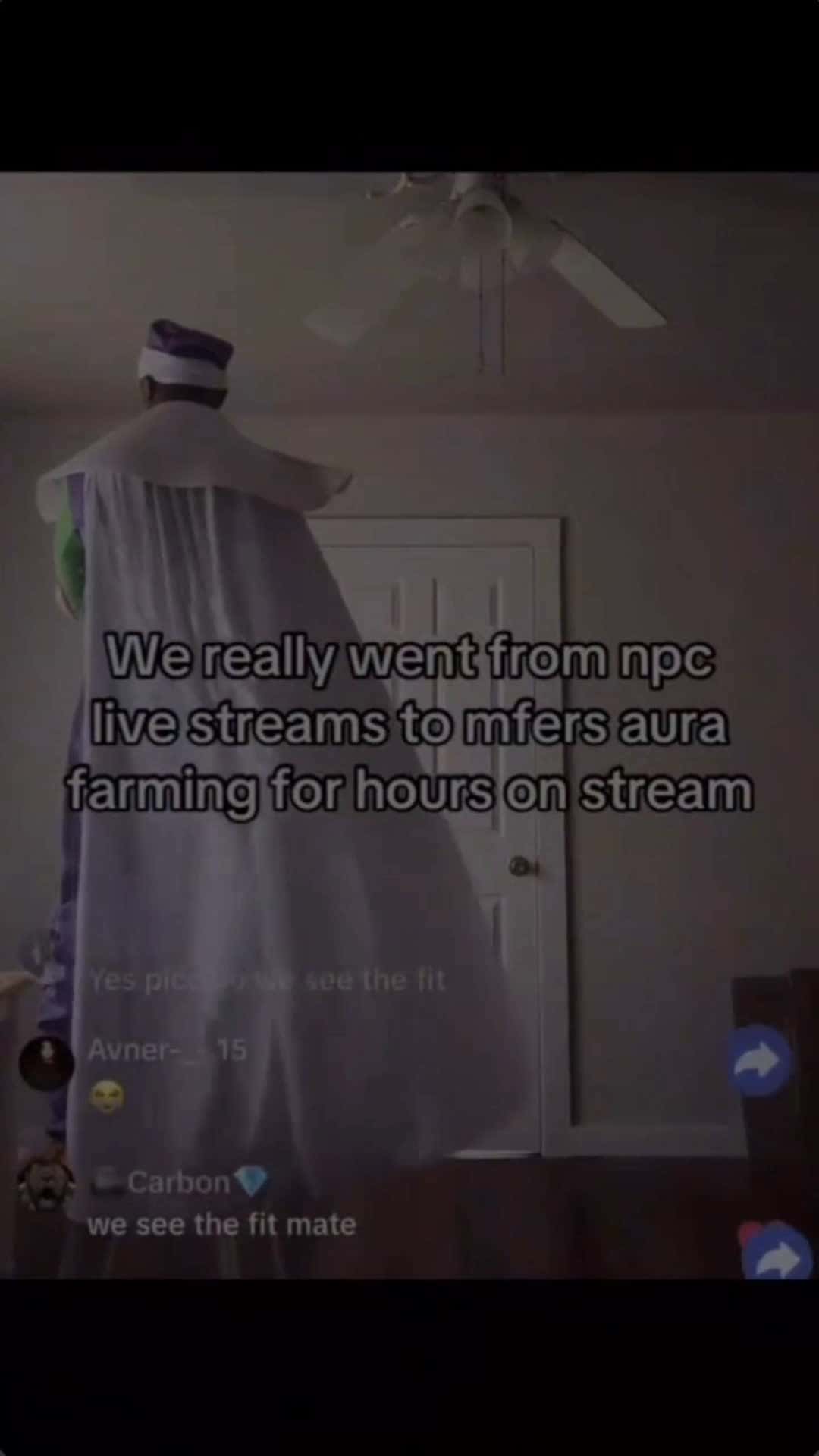 Cover for Wereally wentfrom npc livestreams to mfersaura farming for hoursoostream