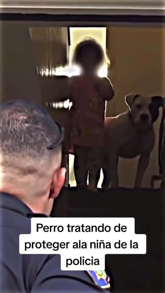 Cover for Dogs are the guardians given by God to babies dog baby Love lovestory dogsoftiktok bestfri 67787 #us