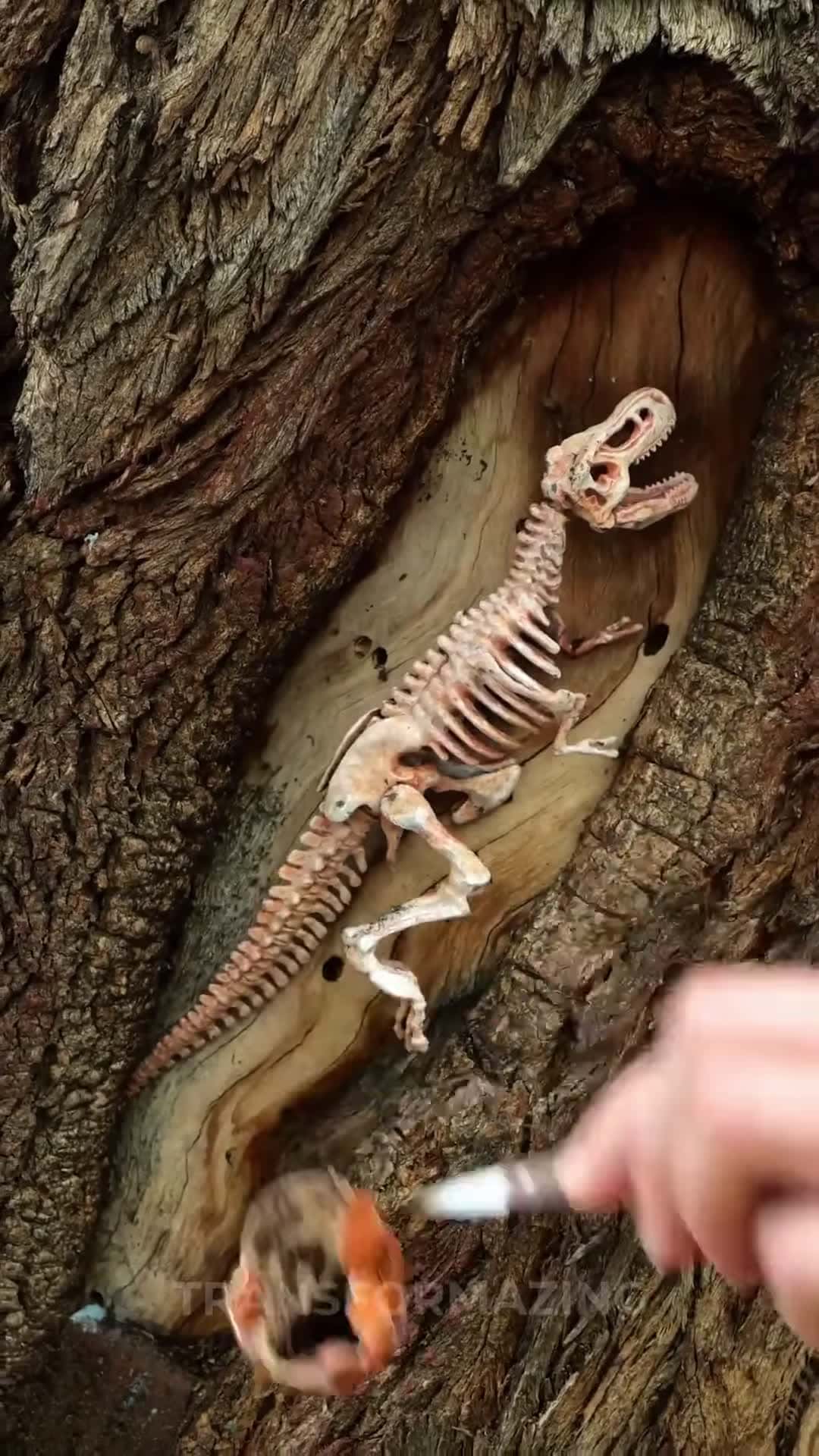 Cover for Tiny Dinosaur Fossil Found and Brought to Life with New Technology