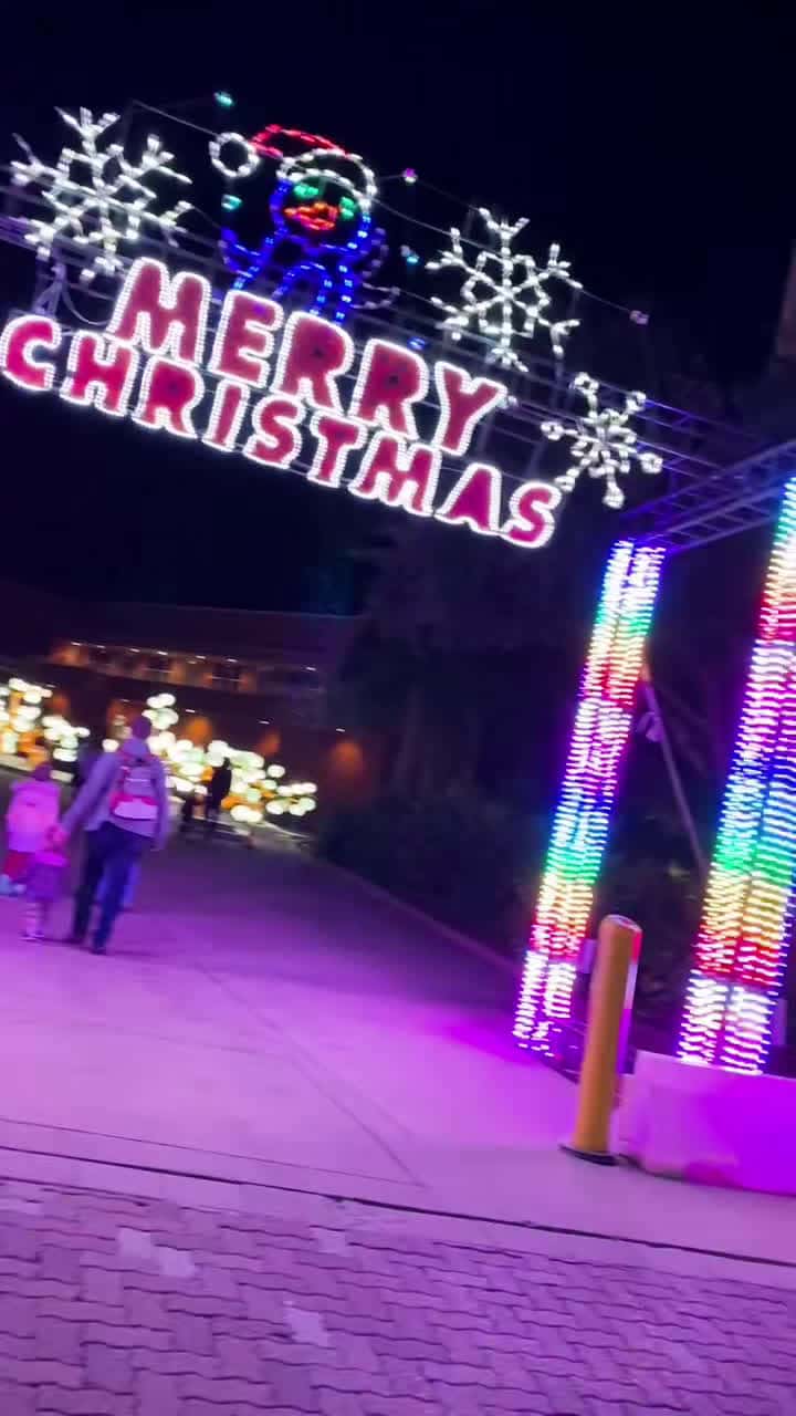 Cover for Has anyone else went to check out the Christmas lights this year? 🎄🎅🎁 #moodygardens #galveston #htx #christmaslights #christmascountdown2020