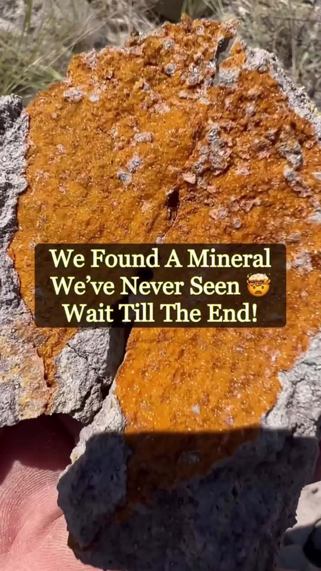 Cover for SERIOUSLY 😳 What In The World Is This? #crystals #minerals  #reels  #treasure 