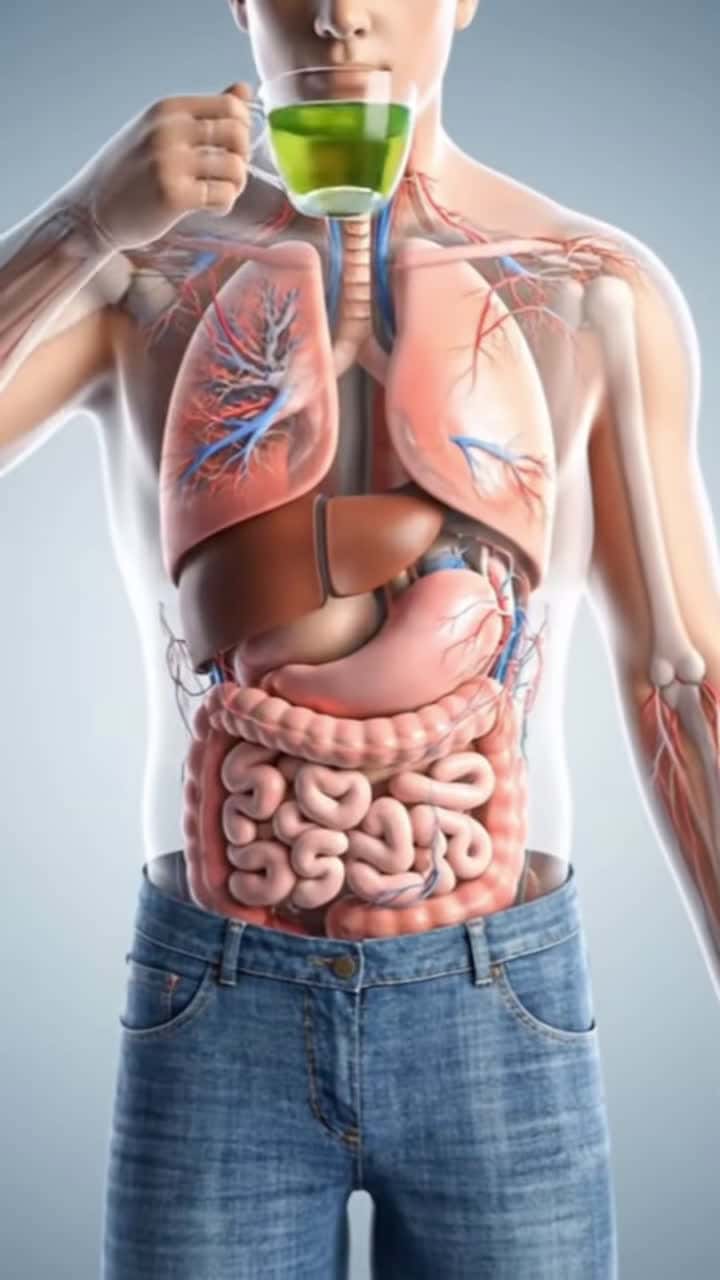 Cover for Green Tea 🍵 #fasting #doryoupage #foryoupage #odlysatisfying #satisfying #soda #greentea #ai #organ #human