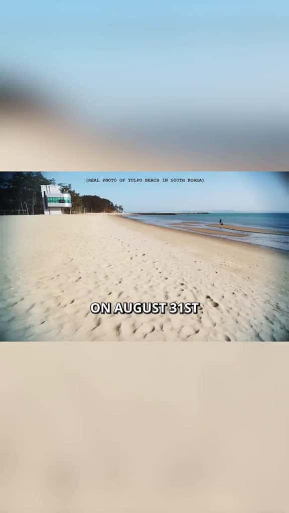 Cover for The Pier