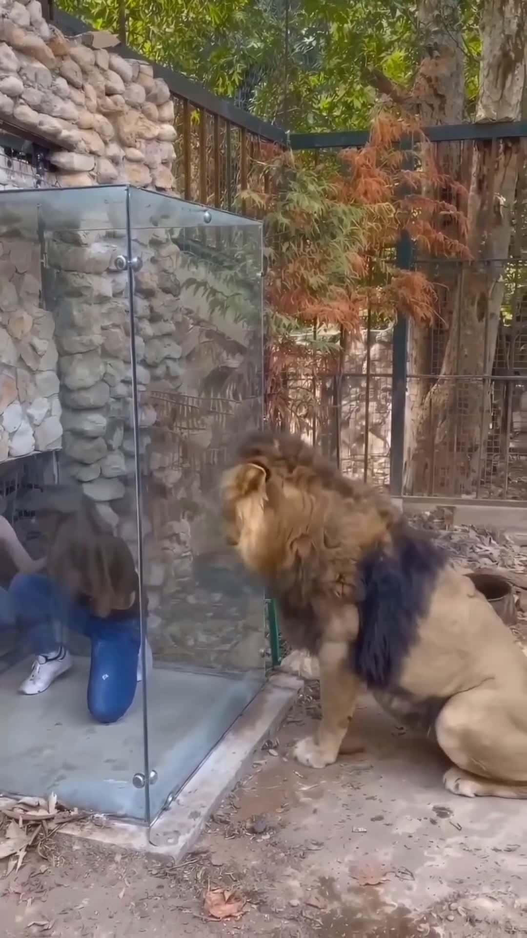Cover for What do you think about this? #zoolife #zoolifeadventure