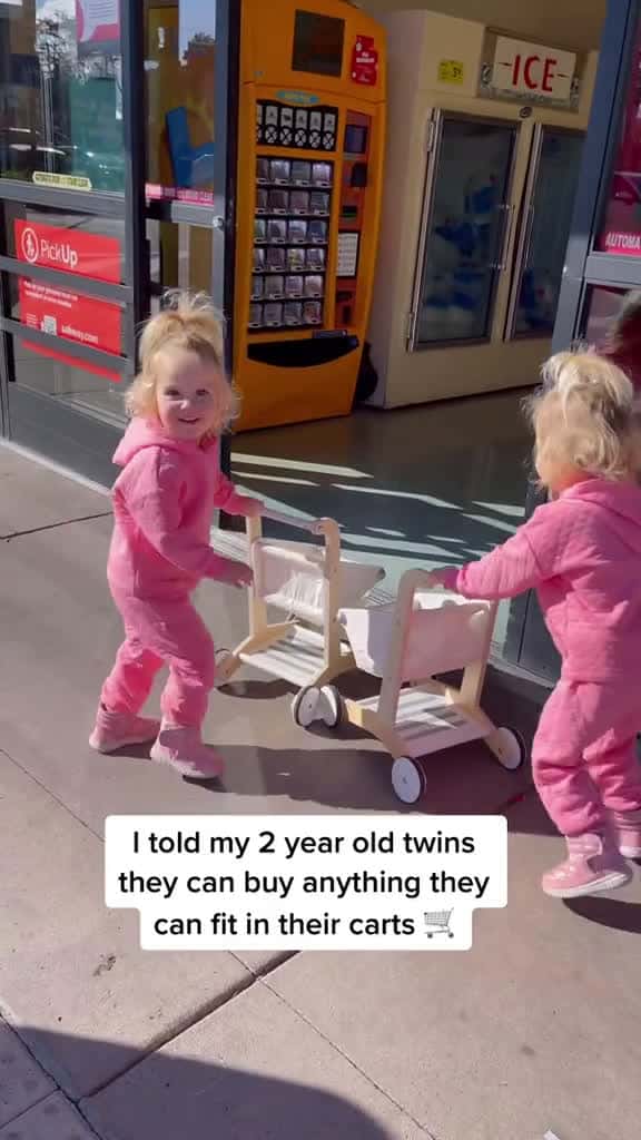 Cover for They way they were restocking my brand new fridge  #twins