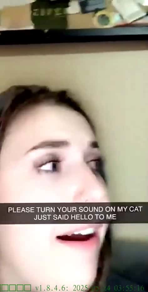 Cover for cats are evolving fettywapsgrlfriend fyp foryoupage 58731 #us