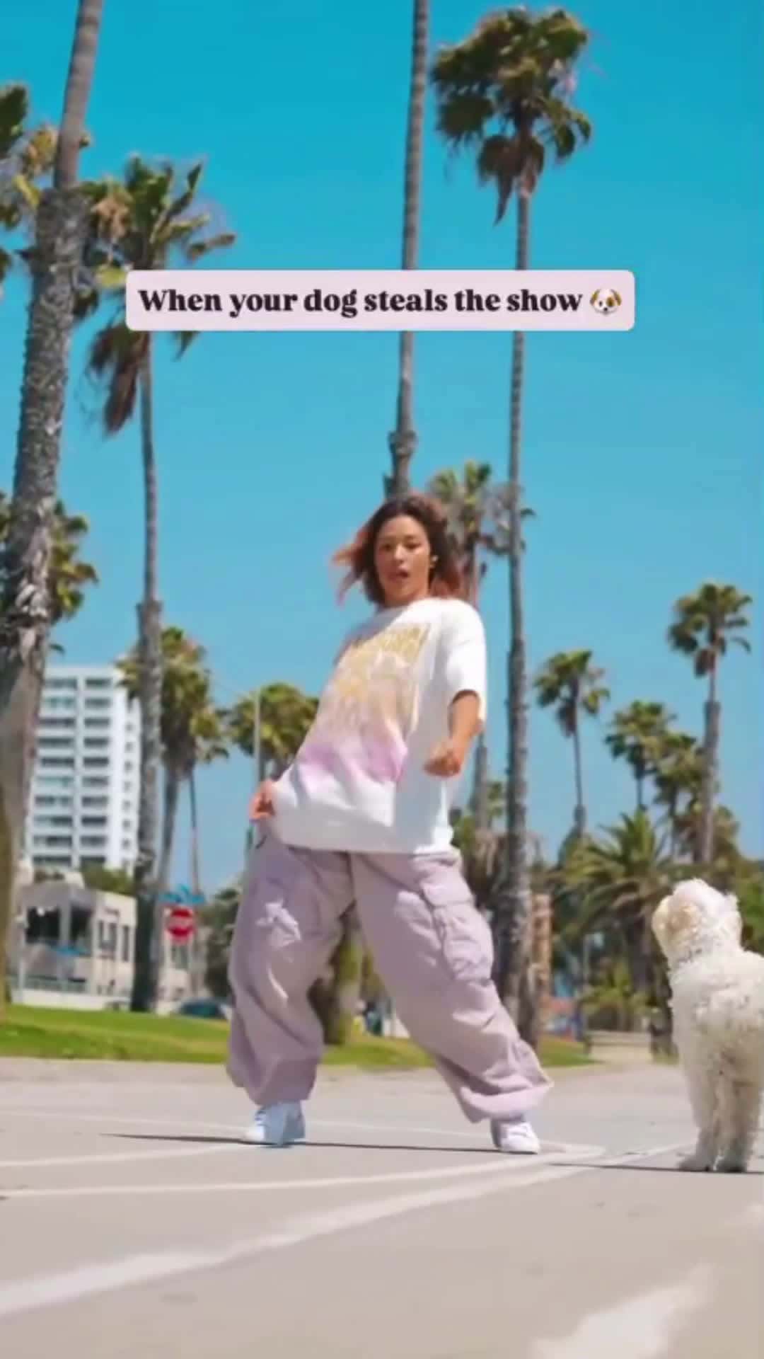 Cover for #TooFunnyToScroll #pet #animals #dog #fyp #foryou When your dog steals the show! 😅🐕
