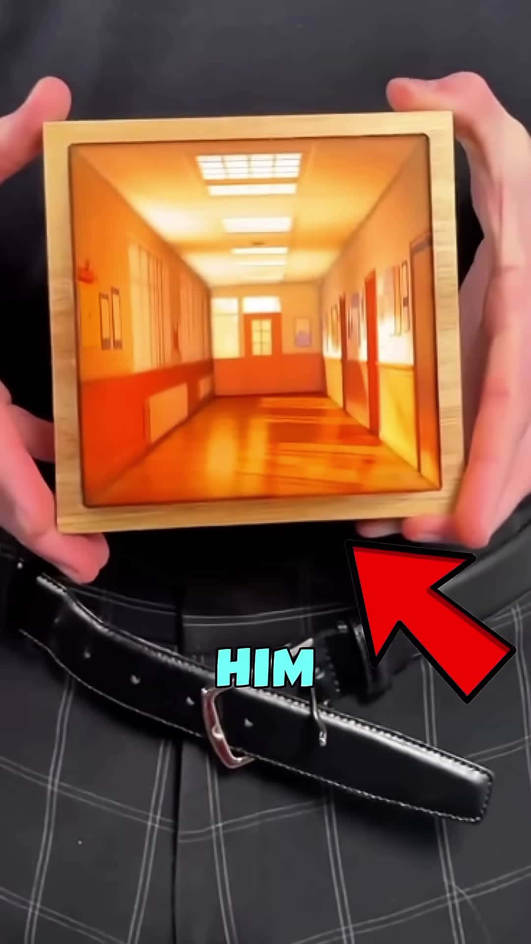 Cover for he mastered illusions