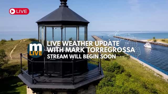 Cover for Michigan Weather Forecast - Friday, August 8, 2025