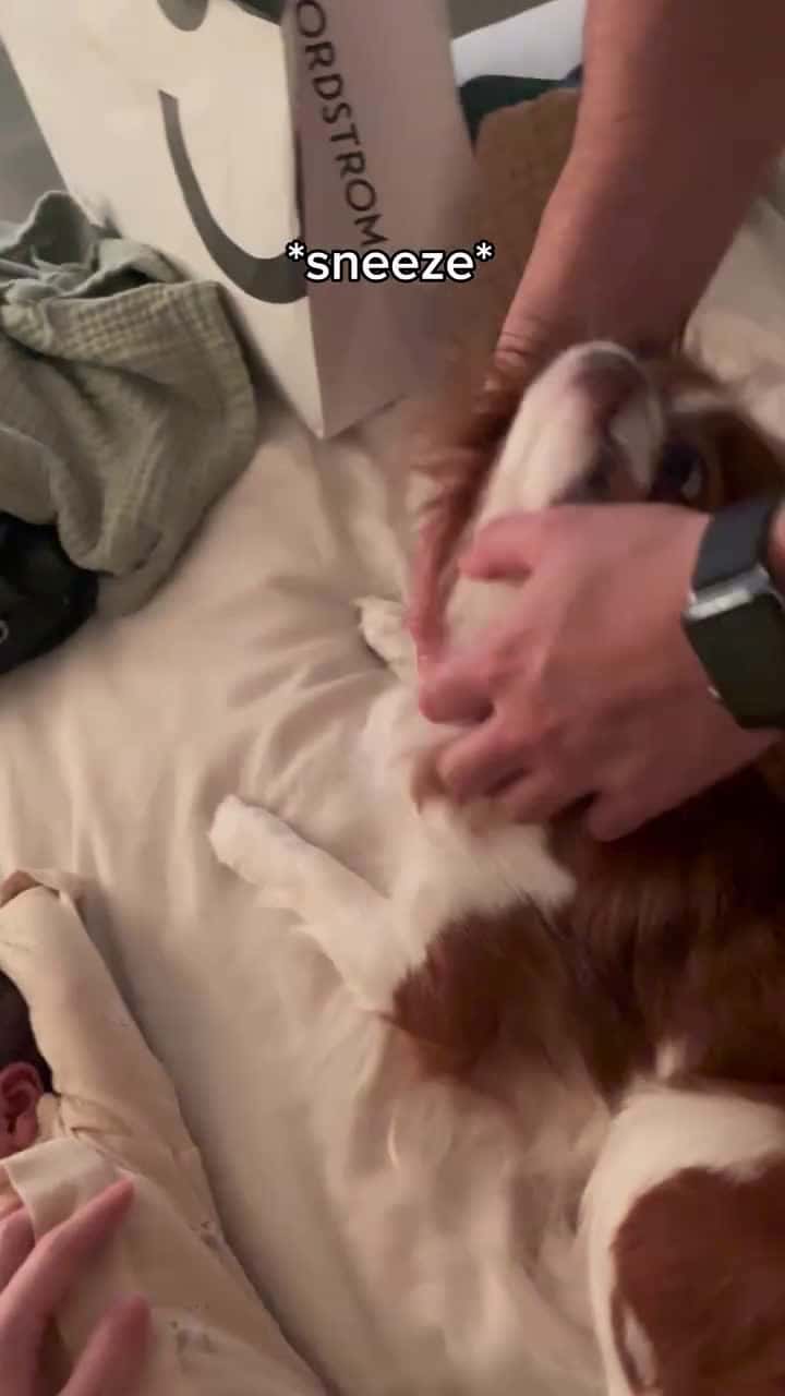 Cover for sorry but how does she sneeze DIRECTLY into the newborns face #SpreadTheLove#ThePawfectMoment