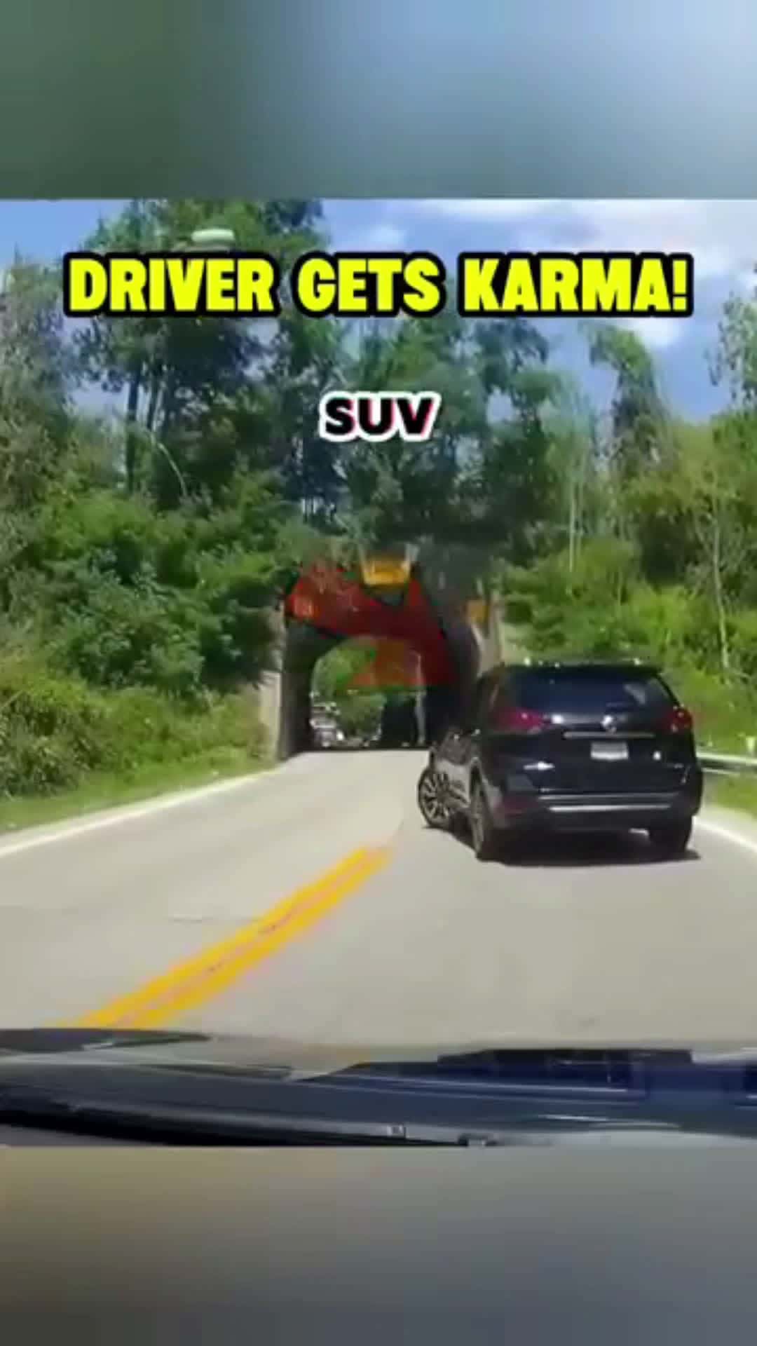 Cover for Entitled Driver Gets Funny Instant Karma! 😨