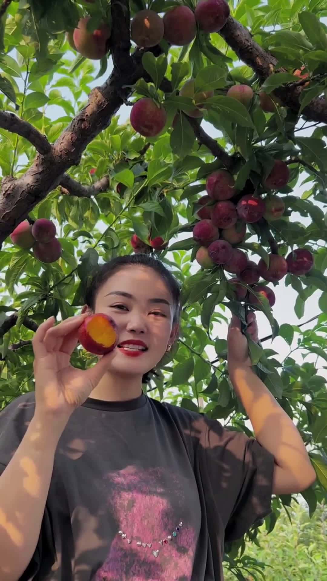 Cover for Fruity