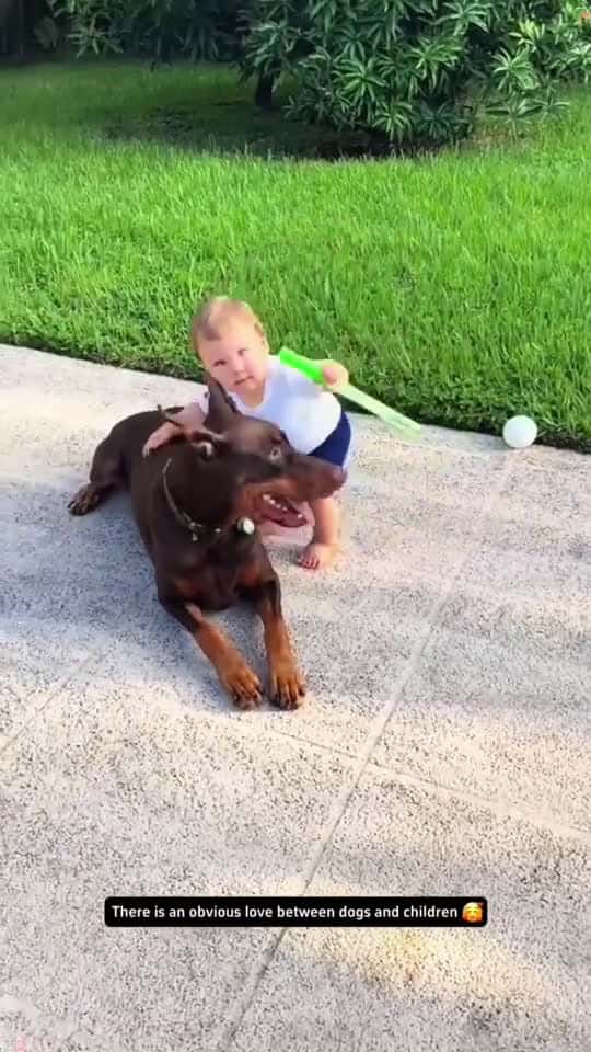 Cover for There is an obvious love between them dog Love baby dogtiktok fyp 75582 #american