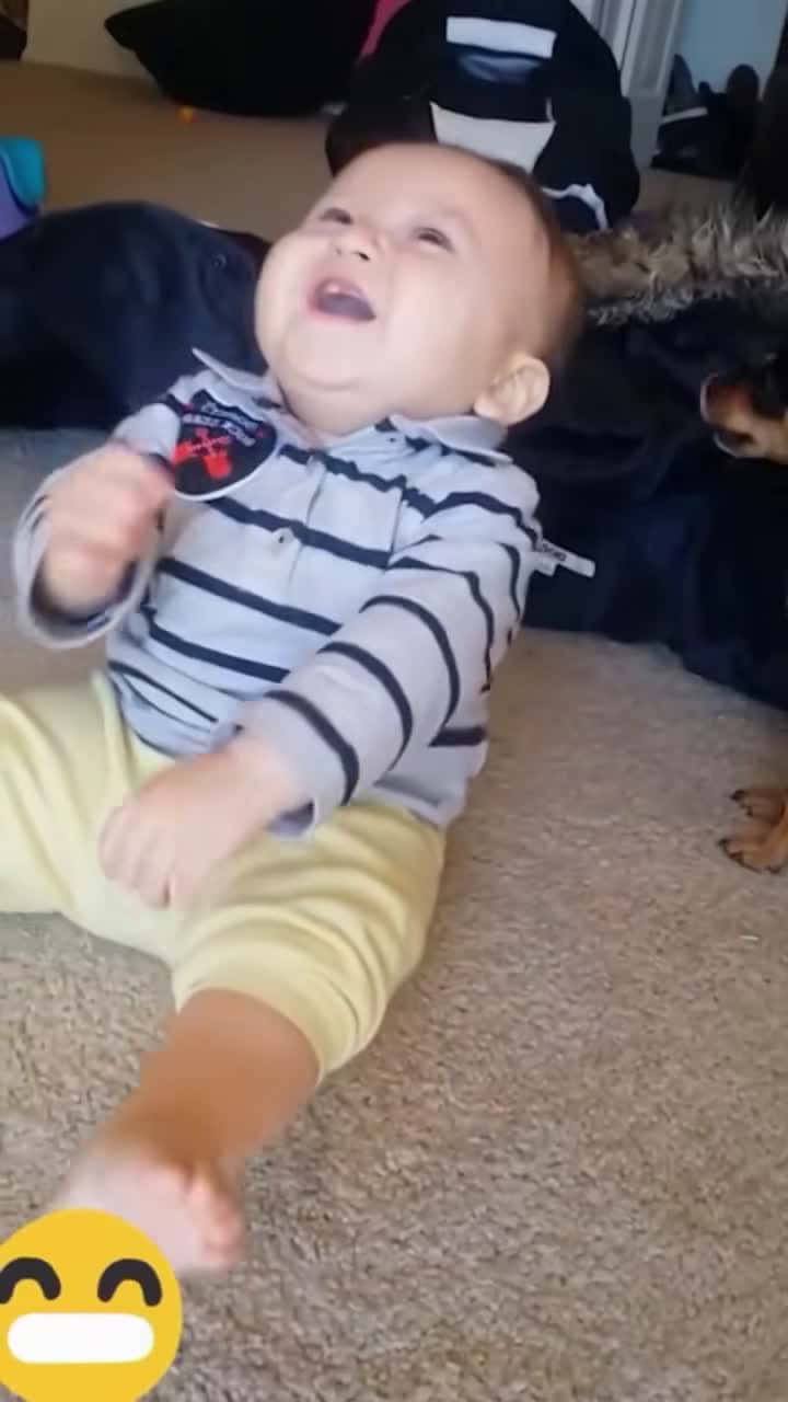 Cover for #FavMovieClip Cute Baby Laughter 😅 #lovelybaby #cutebaby #funnybaby #cutest #love 