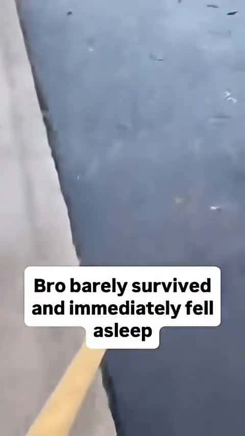 Cover for That would be my new friend #funny #memepage #meme #shorts  #viral  #viralvideo  #viralvideos  #viraltiktok  #savemoney 