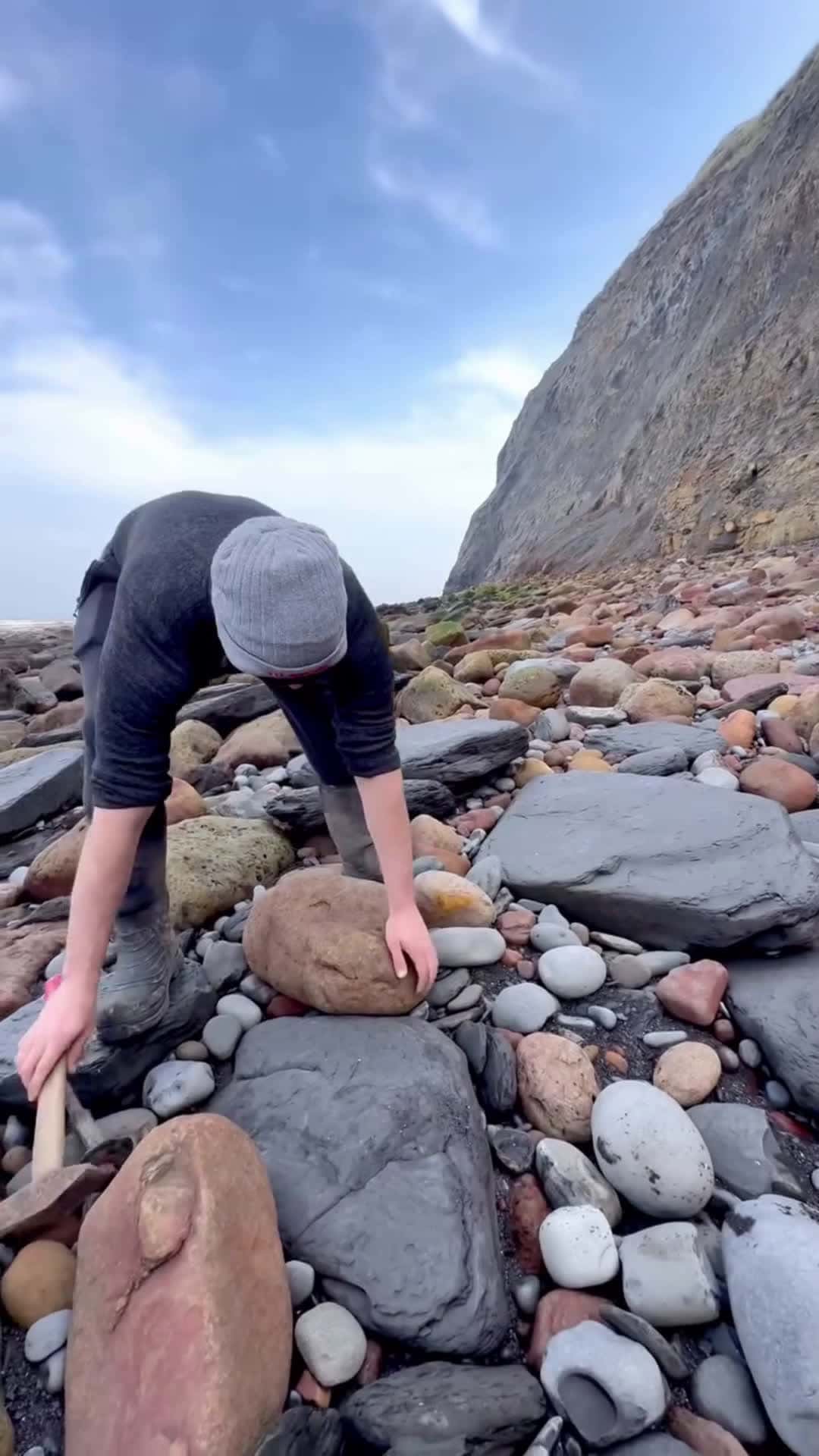 Cover for We found a limestone rock and opened it, in the search for more fossils! 🤯 Take a look and see if anything was inside! 🏝️ You win some, you lose some! 🌅 