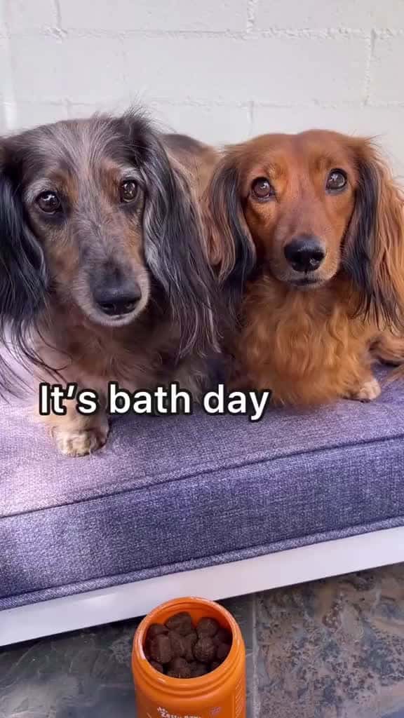 Cover for Check out hollyandhazelnut s relaxing spaw-like bath time routine featuring Calming Bites 92459 #america