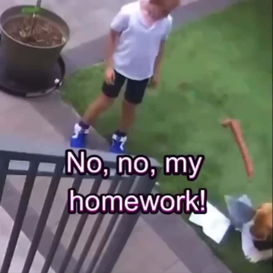 Cover for Her poor homework  #meme  #memes  #fy  #fyp  #viral  #trend  #trending  #scoopz  #funnyvideos