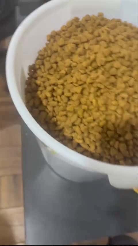 Cover for Surprising Food Flex Can't Resist #kibble #shorts_040 (2)
