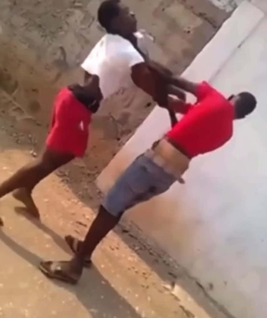 Cover for Follow for the best fight vids😂💯