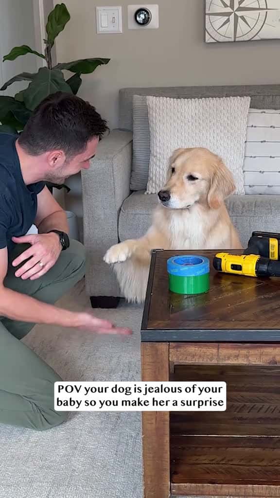 Cover for tbh that turned out better than I expected 😂 #goldenretrieverlife #dog #diy #baby #smile  created by Golden Retriever Life with Golden Retriever Life’s original sound