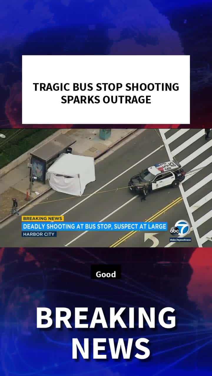 Cover for AI video: The bus stop shooting tragedy stirs up public anger #BusStopShootingTragedy#PublicAnger#Shooting#SocialIssue#ai