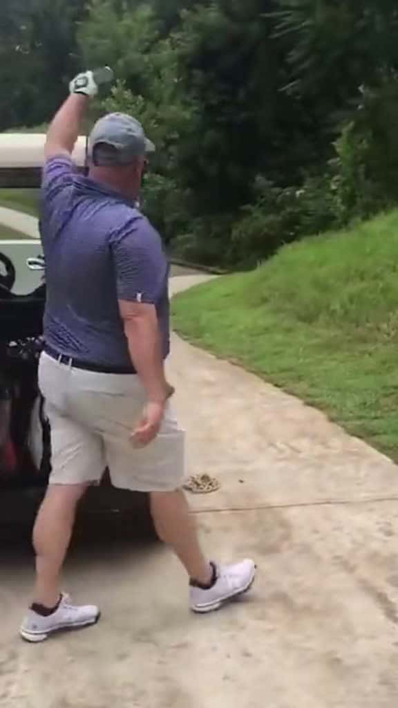Cover for Wait till you see his reaction on the golf course 😂🏌️‍♂️ #golf #golfer #surprise #viral